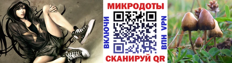закладка  Альметьевск  hydra ONION  Псилоцибиновые грибы мицелий 