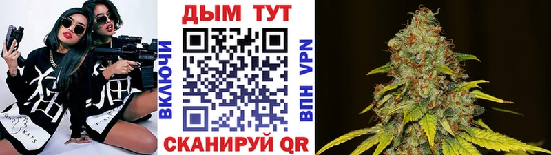 Бошки марихуана сатива  Альметьевск 
